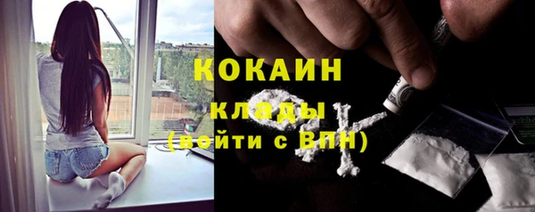 гидра Кулебаки