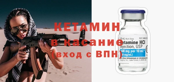 индика Богородицк