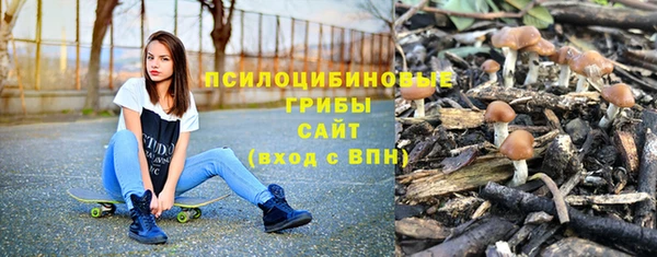 мдпв Богданович