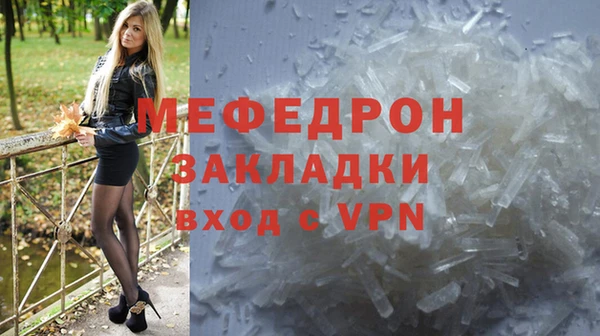 индика Богородицк
