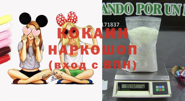 индика Богородицк