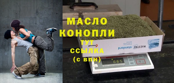 индика Богородицк